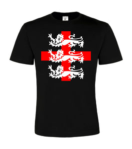 Three Lions England Unisex T-shirt