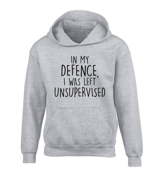 in My Defence, I was Left Unsupervised Hoodie