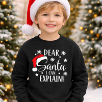 Cher Père Noël, je peux expliquer Sweatshirt