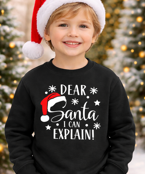 Cher Père Noël, je peux expliquer Sweatshirt
