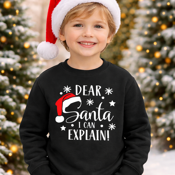Cher Père Noël, je peux expliquer Sweatshirt