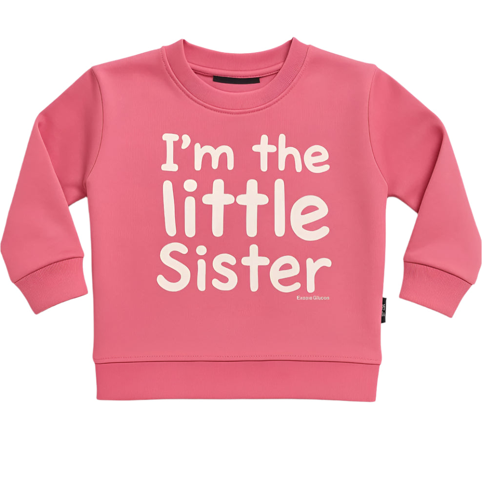 Pink Sweatshirt for litter sisters 