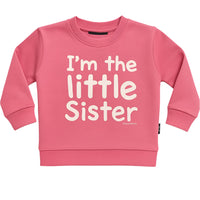 Pink Sweatshirt for litter sisters 