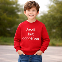 Small but Dangerous Sweatshirt 👶🔥