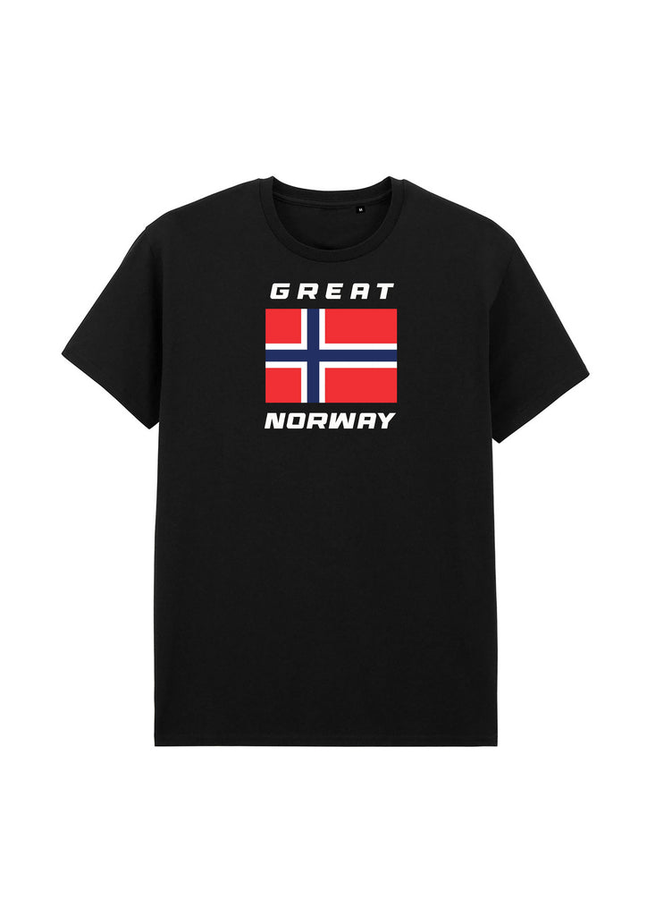 Great Norway Flag Unisex T-shirt
