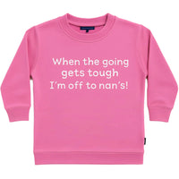 Pink sweatshirt with text on a white background
