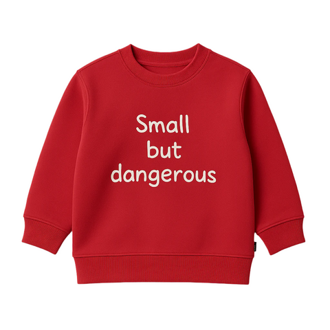 Red sweatshirt with 'Small but dangerous' text. 