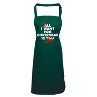 Copy of All I want for Christmas is Wine Apron