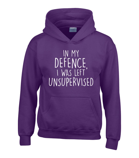in My Defence, I was Left Unsupervised Hoodie