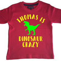 Personalised 'Dinosaur Crazy' with Your Name! Children's Kids T Shirt