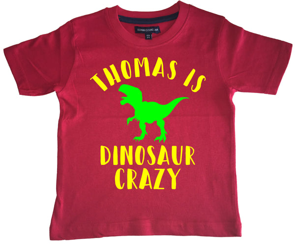 Personalised 'Dinosaur Crazy' with Your Name! Children's Kids T Shirt