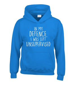 in My Defence, I was Left Unsupervised Hoodie