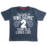This is what an awesome 2 year old looks like Birthday T-shirt